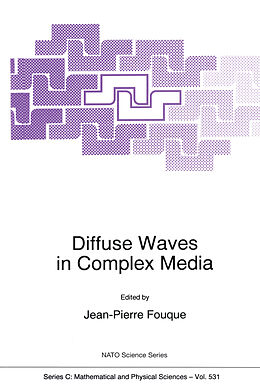 Couverture cartonnée Diffuse Waves in Complex Media de 