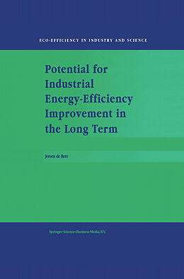 Fester Einband Potential for Industrial Energy-Efficiency Improvement in the Long Term von J. De Beer