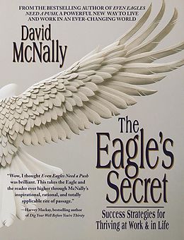 E-Book (epub) The Eagle's Secret von David Mcnally