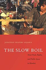 eBook (epub) The Slow Boil de Jonathan Shapiro Anjaria