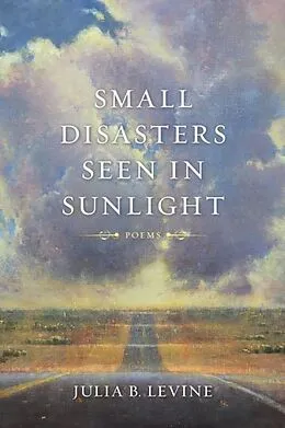 E-Book (pdf) Small Disasters Seen in Sunlight von Julia B. Levine