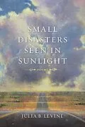 E-Book (epub) Small Disasters Seen in Sunlight von Julia B. Levine