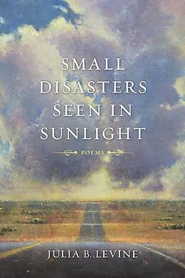 E-Book (epub) Small Disasters Seen in Sunlight von Julia B. Levine