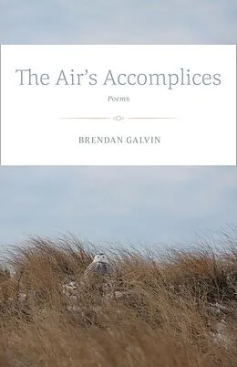 E-Book (epub) The Air's Accomplices von Brendan Galvin