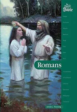 E-Book (epub) Romans eBook von Armin J Panning
