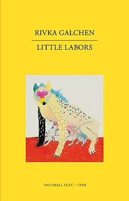 E-Book (epub) Little Labors von Rivka Galchen