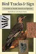 E-Book (epub) Bird Tracks & Sign von Mark Elbroch, Eleanor Marks