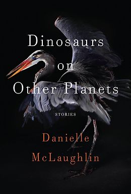 E-Book (epub) Dinosaurs on Other Planets von Danielle Mclaughlin