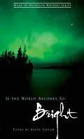 E-Book (epub) If the World Becomes So Bright von Keith Taylor