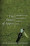 PDF Slums of Aspen von Lisa Sun-Hee Park