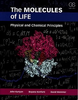 Kartonierter Einband The Molecules of Life von John Kuriyan, Boyana Konforti, David Wemmer