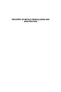 E-Book (pdf) Processing of 'Wide Band Gap Semiconductors von Stephen J. Pearton
