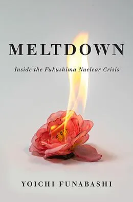 E-Book (epub) Meltdown von Funabashi Yoichi