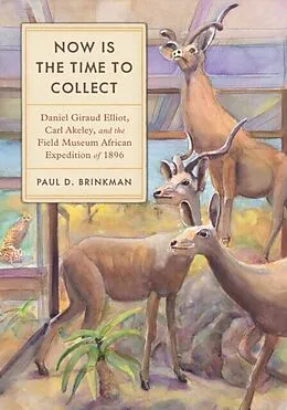 E-Book (epub) Now Is the Time to Collect von Paul D. Brinkman