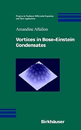 eBook (pdf) Vortices in Bose-Einstein Condensates de Amandine Aftalion