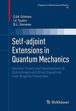 E-Book (pdf) Self-adjoint Extensions in Quantum Mechanics von D. M. Gitman, I. V. Tyutin, B. L. Voronov