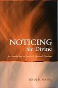 E-Book (epub) Noticing the Divine von John R. Mabry