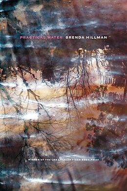 E-Book (epub) Practical Water von Brenda Hillman
