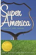 E-Book (epub) Super America von Anne Panning