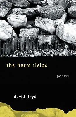 E-Book (epub) The Harm Fields von David Lloyd