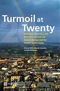 E-Book (epub) Turmoil at Twenty von Pradeep K. Mitra, Marcelo Selowski, Juan F. Zalduendo