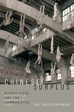 E-Book (pdf) Chinese Surplus von Heinrich Ari Larissa Heinrich