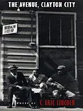 E-Book (pdf) Avenue, Clayton City von Lincoln C. Eric Lincoln