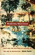 PDF Modernity Disavowed von Fischer Sibylle Fischer