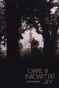 E-Book (epub) Chapel of Inadvertent Joy von Jeffrey McDaniel