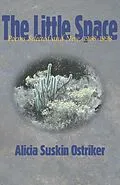 E-Book (epub) The Little Space von Alicia Suskin Ostriker