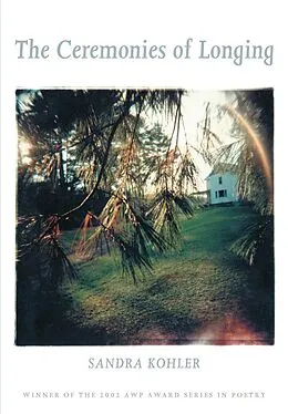 E-Book (pdf) The Ceremonies Of Longing von Sandra Kohler