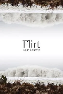E-Book (epub) Flirt von Noah Blaustein