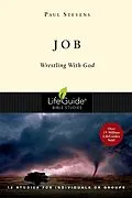E-Book (epub) Job von R. Paul Stevens