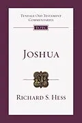 E-Book (epub) Joshua von Richard S. Hess