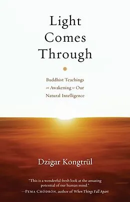 E-Book (epub) Light Comes Through von Dzigar Kongtrul