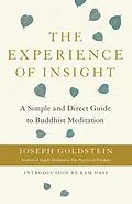 E-Book (epub) The Experience of Insight von Joseph Goldstein
