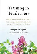 E-Book (epub) Training in Tenderness von Dzigar Kongtrul