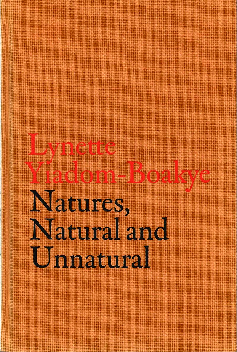 V-A-C Collection: Lynette Yiadom-Boakye