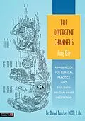 E-Book (epub) The Divergent Channels - Jing Bie von David Twicken