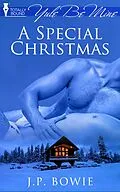 E-Book (epub) A Special Christmas von J. P. Bowie