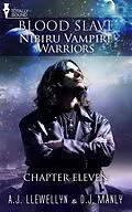 E-Book (epub) Nibiru Vampire Warriors: Chapter Eleven von A. J. Llewellyn, D. J. Manly