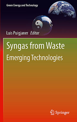 eBook (pdf) Syngas from Waste de Luis Puigjaner