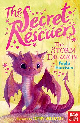 eBook (epub) The Secret Rescuers: The Storm Dragon de Paula Harrison