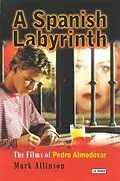 E-Book (pdf) Spanish Labyrinth, A von Mark Allinson
