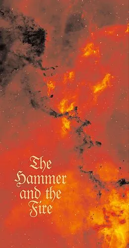 E-Book (epub) The Hammer and the Fire von Henry Marsh