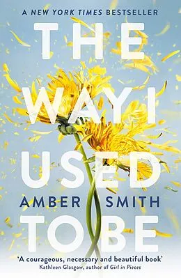 E-Book (epub) The Way I Used to Be von Amber Smith