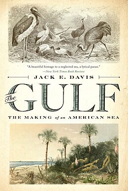 eBook (epub) The Gulf: The Making of An American Sea de Jack E. Davis