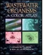 Kartonierter Einband Wastewater Organisms A Color Atlas von Sharon G. Berk