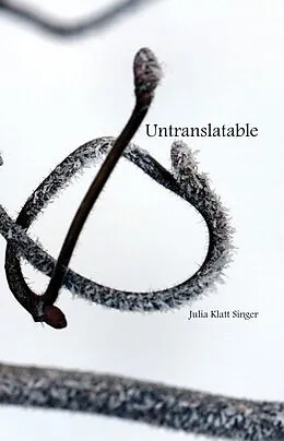 E-Book (epub) Untranslatable von Julia Klatt Singer