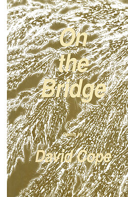 Kartonierter Einband On the Bridge von David Cope